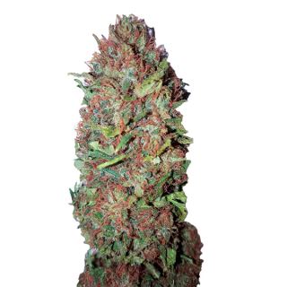 12963