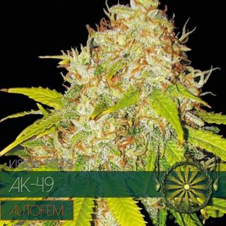 9240