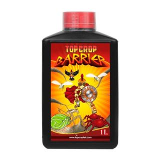 BARR1