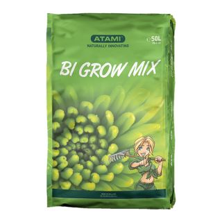 BGM5