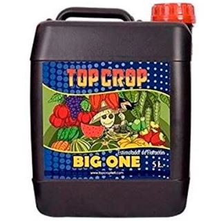 13368