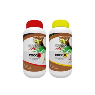 12003