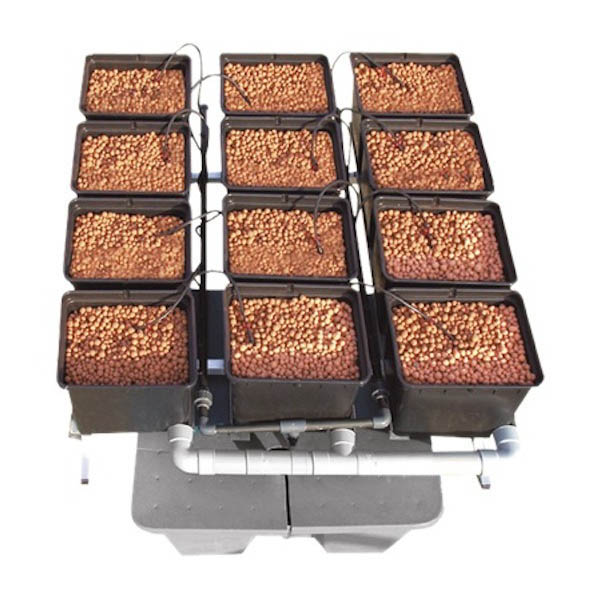 Dutch Pots 1m2 Hidropónico General Hydroponics  48/72 h.