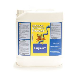NPE5