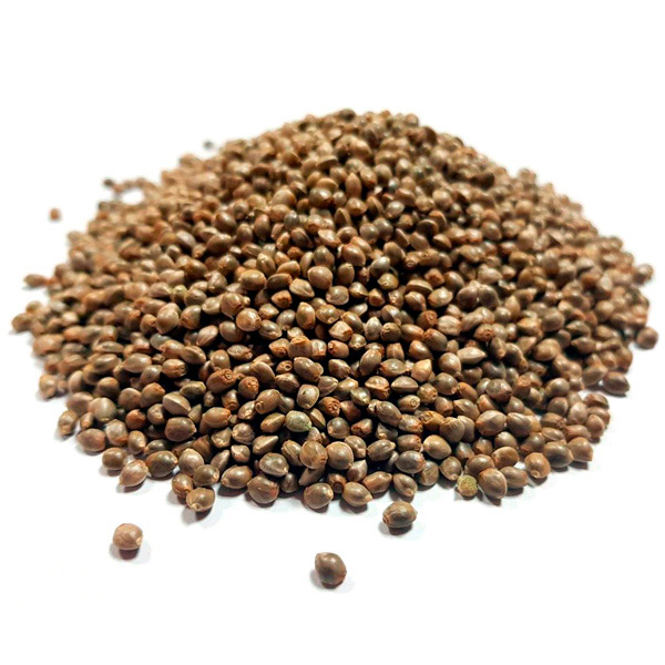Girl Scout Cookies Granel 100 ud.