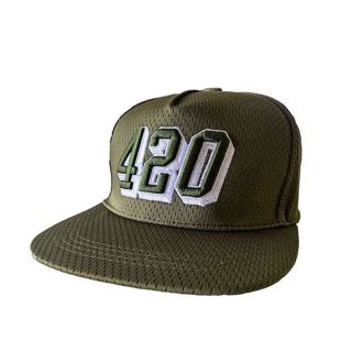 20504