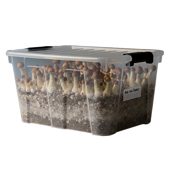 Grow Kit  Monotube Doble Most Value Producer