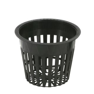1504
