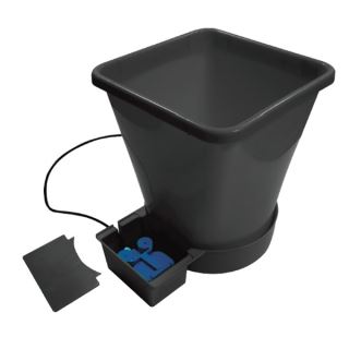 AP300XLM