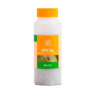 SPL