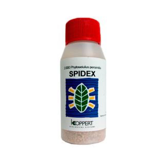 SPHY