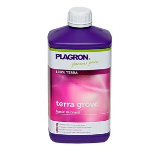 TG1P