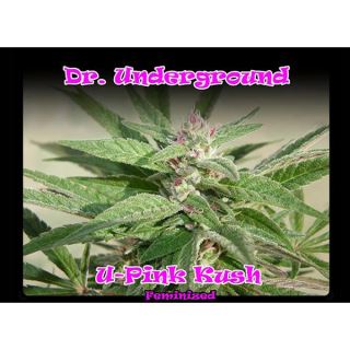 UPK4